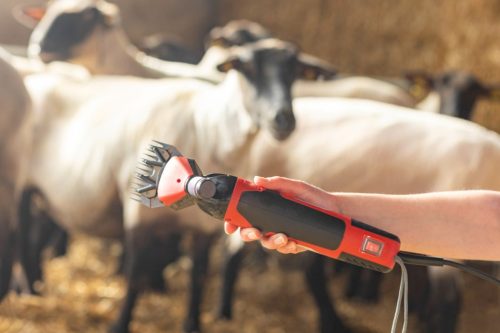 Mašinica za šišanje ovaca FarmClipper Profi, 350 W, max. 2400 dvostrukih udaraca/min, s kabelom 5,5 m