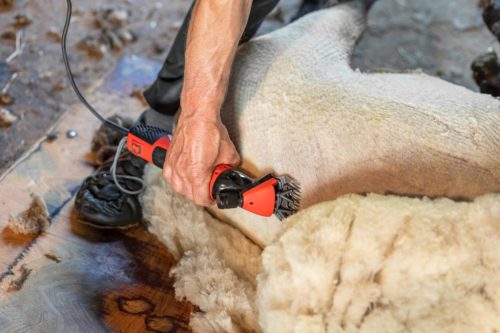 Mašinica za šišanje ovaca FarmClipper Profi, 350 W, max. 2400 dvostrukih udaraca/min, s kabelom 5,5 m