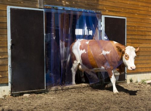 Prozirna PVC trakasta zavjesa u roli 20cm x 2mm - 50 m