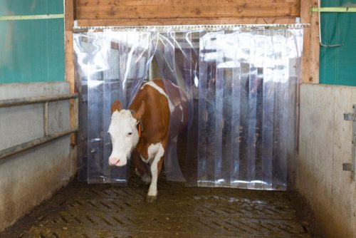 Prozirna PVC toplinska zavjesa, trakasta zavjesa 200x2 mm - 25 m