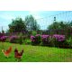 AKO PoultryNet električna mreža za perad, narančasta, 50 m x 106 cm, s dvostrukim zabodnim šiljcima