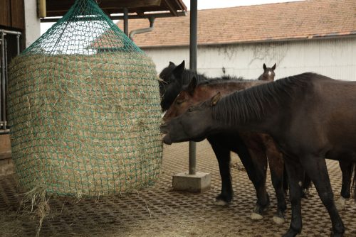 Viseća mreža za sijeno za okrugle bale - 150x180 cm