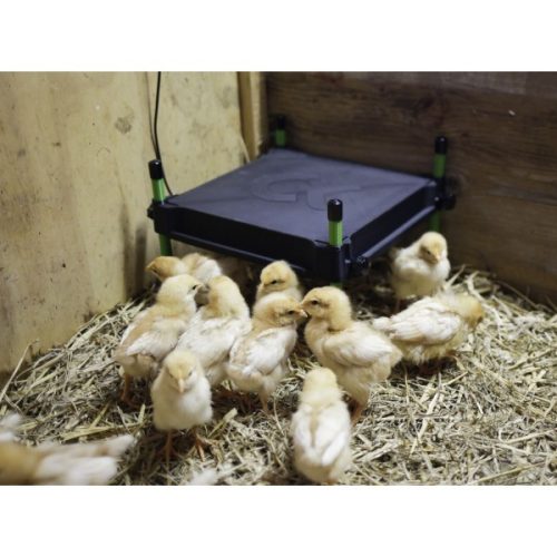 Grijaća ploča s ugrađenim termostatom 24 V - 30x30 cm