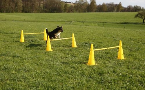 Agility skakački set s tri prepreke, 6 čunjeva, prepreka i slalom staza u jednom – žuti