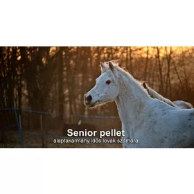   Senior peletirana osnovna krmna smjesa za starije konje - 20 kg