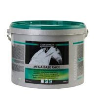 Povećanje performansi i regeneracija