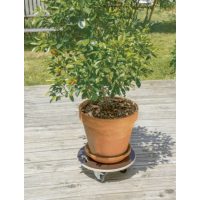 Vozila za cvijeće na kotačima