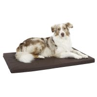 Kreveti za pse, jastuci za pse, ležajevi za pse